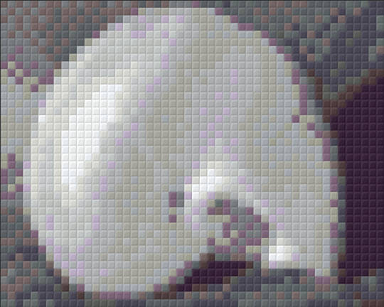 White Shell One [1] Baseplate PixelHobby Mini-mosaic Art Kit